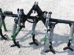 SherpA&nbsp; GRUBERI&nbsp;