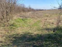 Plac 1,93 hektara Baćevac Barajevo 