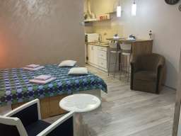 Studio Apartman Luter Beograd Zemun