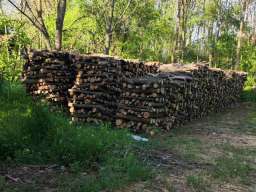 Prodajem ogrevno drvo (bagrem) 140 m3