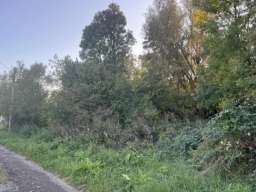 Plac 12 ari Stepojevac Lazarevac 