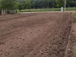 Prodajem plac u Vognju-Ruma