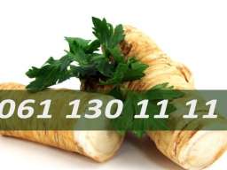 Prodajem domaći ren u korenu 