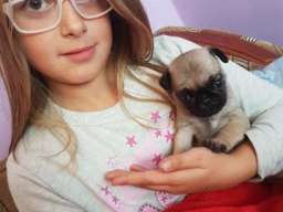 MOPS stenci na prodaju sa papirima