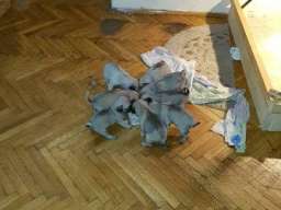 MOPS stenci na prodaju sa papirima