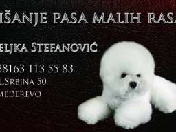 Ulepsavanje malih rasa pasa i ljubimaca