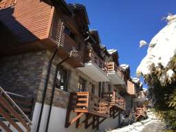 Tiha zora Zlatibor 1000 