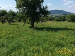 Kuca Vinca kod Topole