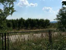 Kuca Vinca kod Topole