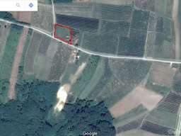 Kuca Vinca kod Topole