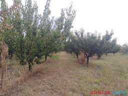 Na prodaju Vocnjak kod Hotela na Raskrscu