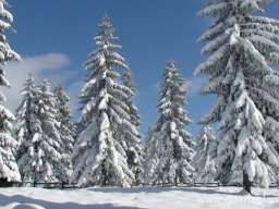 Kuca za odmor-Krinica