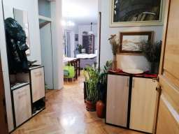 Lep trosoban stan Novi Sad