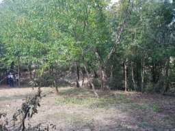Plac Junkovac-Topola