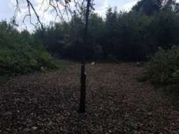 Plac Junkovac-Topola