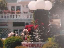 Prodajem kucu u Beogradu