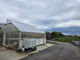 Kuca u Rajkovcu sa pomocnim objektima i placem