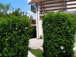 Prodajem kucu u Vrnjackoj Banji