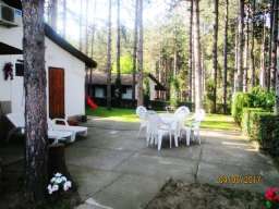 Odmor na Dunavu u borovoj &scaron;umi, povoljno