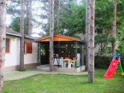 Odmor na Dunavu u borovoj &scaron;umi, povoljno