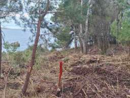 Prodajem plac 804 m2 pored mora Bar