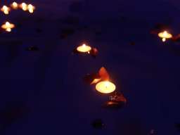 Studio Apartman Amsterdam Beograd Novi Beograd