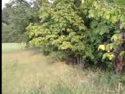 Plac u Sibnici, Op&scaron;tina Sopot, gradjevinska zona