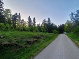 Na prodaju plac na Zlatiboru