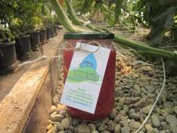 DOMACI KECAP IZ VODENE BASTE