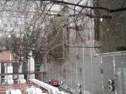 Izdajem stan 60m2