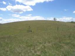 Zemljiste na prodaju-Zlatibor