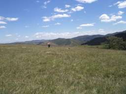 Zemljiste na prodaju-Zlatibor