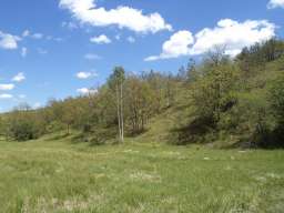 Zemljiste na prodaju-Zlatibor