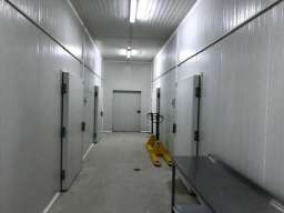 Hladnjaca-Backo Gradiste