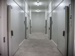 Hladnjaca-Backo Gradiste