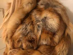 BUNDA OD PRAVOG KRZNA