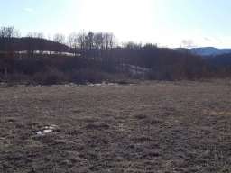 Izdajem plac-magacin, Zlatibor-Mackat