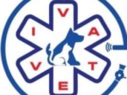 Veterinarski Centar za Minimalno Invazivnu Hirurgiju – IVAVET 