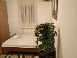 Studio Apartman Queen Studio Beograd Zemun