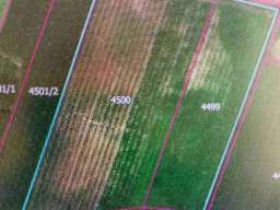 Plantaža le&scaron;nika-Sremska Mitrovica-Ležimir 378ari