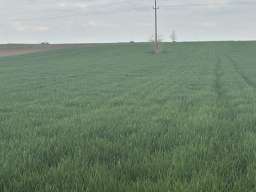 Na prodaju dve parcele Irig-Rivica