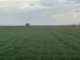 Na prodaju dve parcele Irig-Rivica