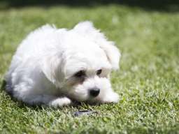 Naša prelepa devojčica je dobila prelepe štence