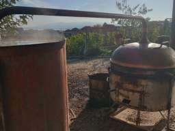 Domaća &scaron;ljivovica 