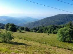 Prodaja parcela na Goliji (gradjevinsko zemljiste sa dozvoljenom gradnjom)