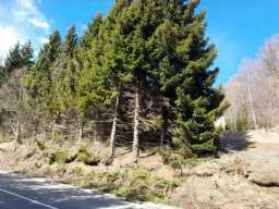 Prodaja parcela na Goliji (gradjevinsko zemljiste sa dozvoljenom gradnjom)