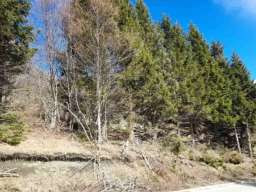 Prodaja parcela na Goliji (gradjevinsko zemljiste sa dozvoljenom gradnjom)