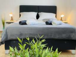 Studio Apartman Nikola Tesla Beograd Sur  in
