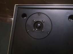 Beovox S30