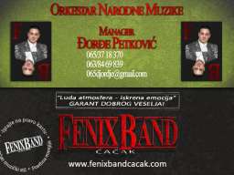 Djordje Petkovic i Fenix Band Cacak